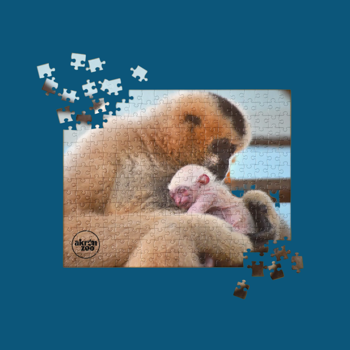 Parker Holding Leuco Puzzle