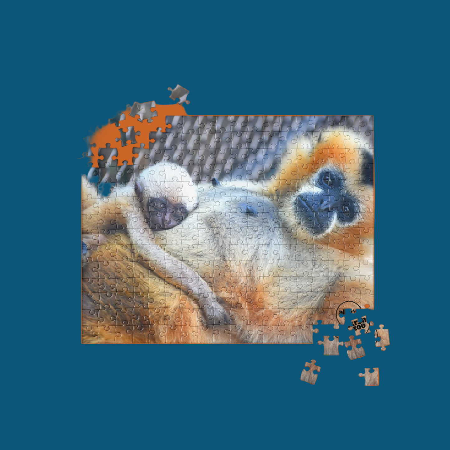 Leuco Sleeping puzzle