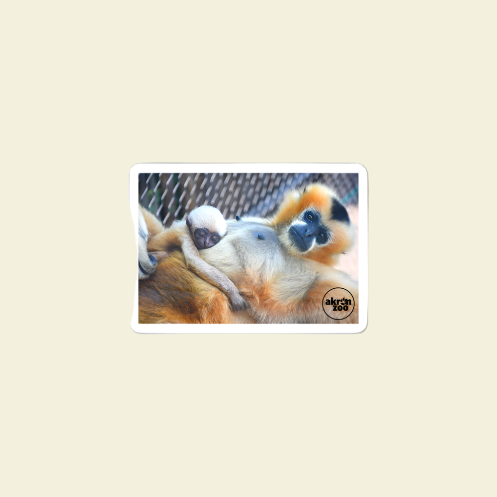 Baby Gibbon Sleeping Sticker