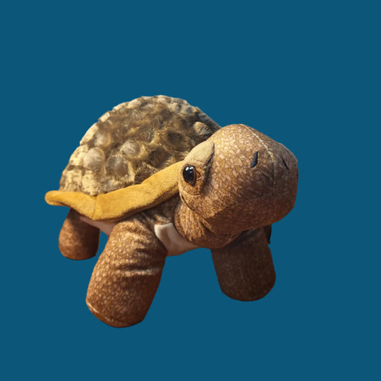 Tortoise Plush