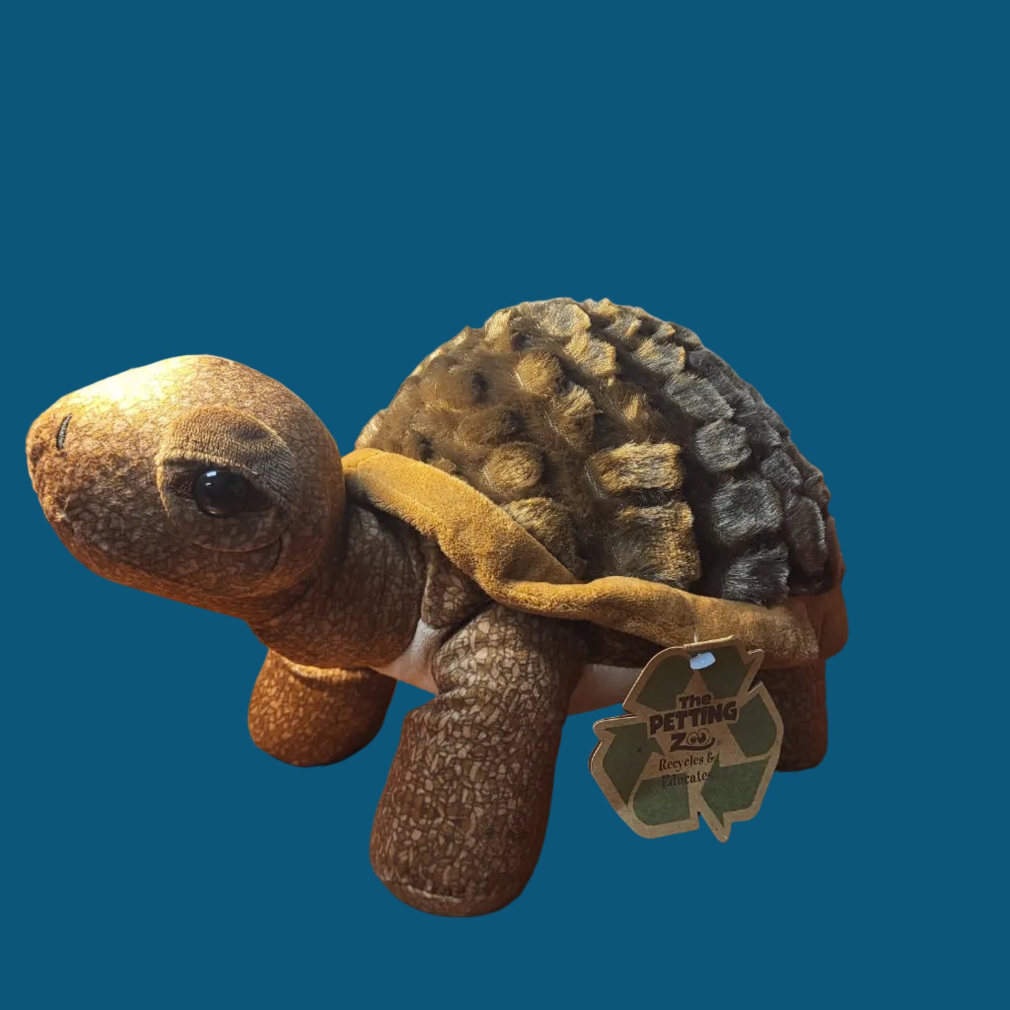 Tortoise Plush