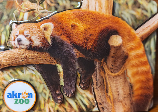 Sleeping Red Panda Magnet