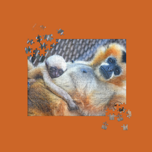 Baby Gibbon Sleeping puzzle