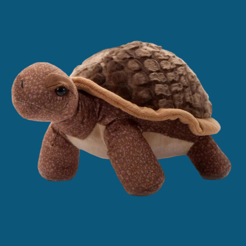 Tortoise Plush