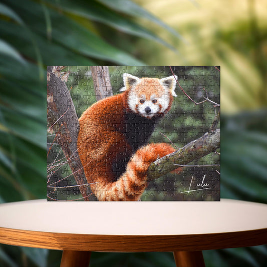 Red Panda - Lulu - Puzzle